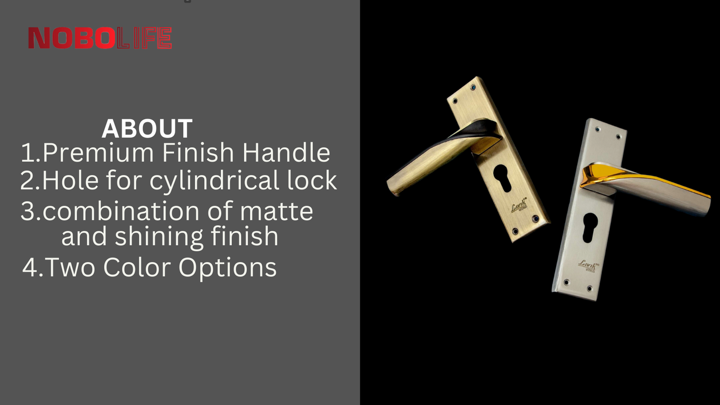 LIVIK 2 COLOUR VITRUS MORTISE LOCKS