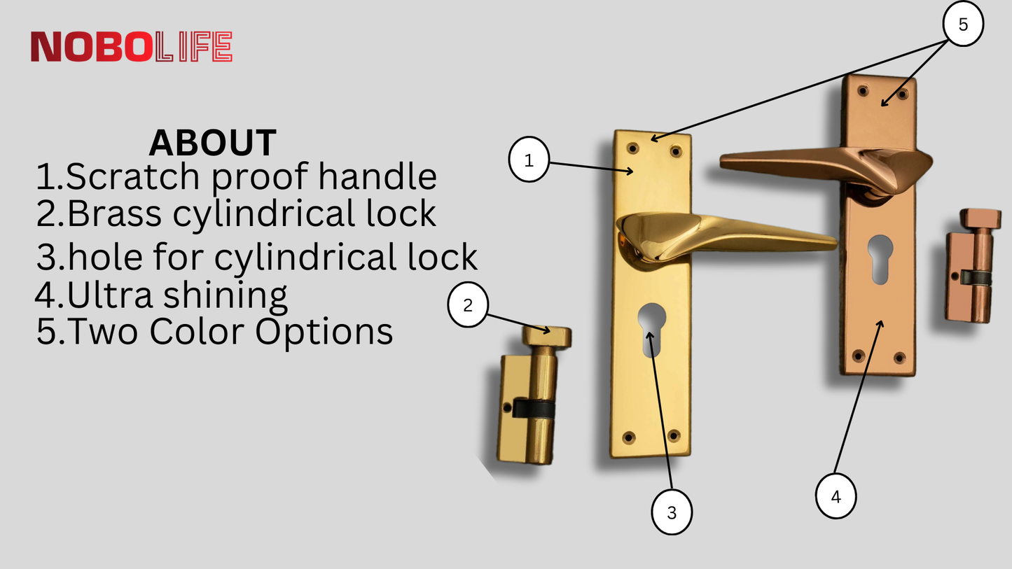 LIVIK PVD- 2 MORTISE LOCKS