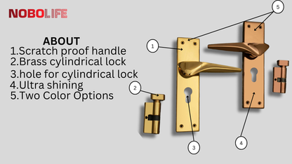 LIVIK PVD- 2 MORTISE LOCKS