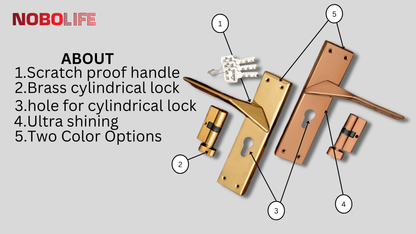 LIVIK PVD-1 MORTISE LOCKS