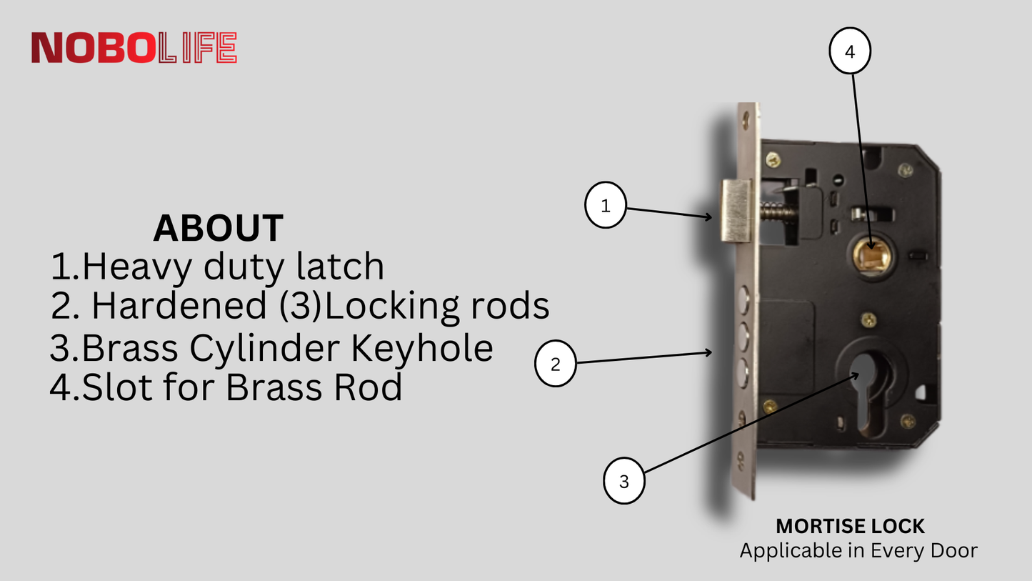 LIVIK 2 COLOUR POLAND  MORTISE LOCKS