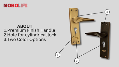LIVIK 2 COLOUR POLAND  MORTISE LOCKS