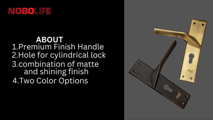 LIVIK 2 COLOUR SLEEK MORTISE LOCKS