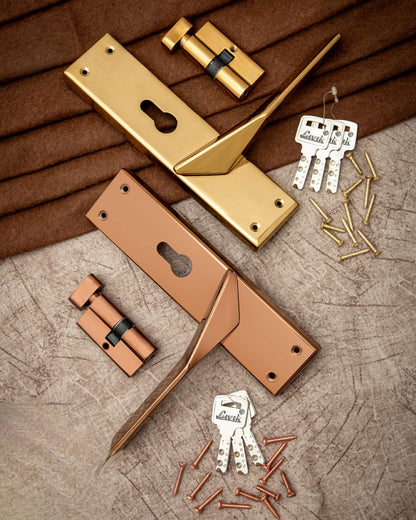 LIVIK PVD-1 MORTISE LOCKS
